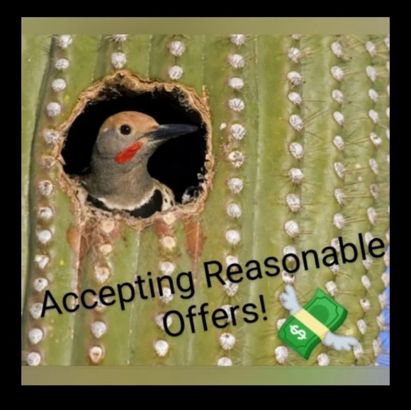 🆕 THE CASHMERE PROJECT "AUTUMN" NAVY BLUE & BLACK REVERSIBLE PONCHO - Picture 13 of 14